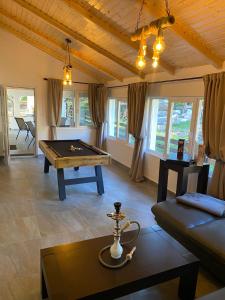 a living room with a pool table and a couch at Roua Bucovinei in Sadova