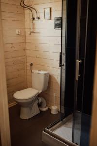 La petite salle de bains est pourvue d'une douche et de toilettes. dans l'établissement Domki Kacprowy w Lipnicy, à Lipnica