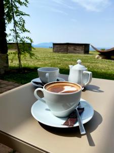Set per la preparazione di tè e caffè presso L'Avenc Benestar Rural