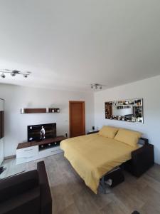 1 dormitorio con 1 cama y TV de pantalla plana en Apartma Maja, Mateja, en Koper