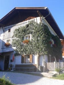 a white house with a tree in front of it at Ferienwohnung Jörgenhof in Telfes im Stubai