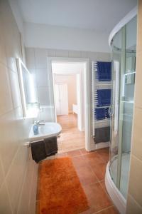 a bathroom with a sink and a glass shower at Apartment Rosenberg in Klotten +6 photos