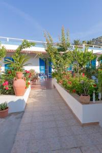 Zahrada ubytování Hotel Casa Adolfo Ischia