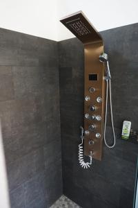eine Dusche im Bad mit Duschkopf in der Unterkunft Alte Brennerei Schloss Zehista OG Akelei in Pirna + 34 Fotos