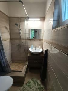 a bathroom with a sink and a shower at Tölgyfa Vendégház in Balatonszepezd +57 photos