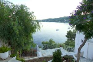Táj Show holiday homes közelében