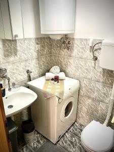 Vannituba majutusasutuses Domus apartman +16 fotot