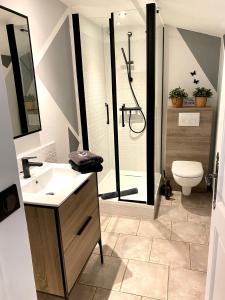 uma casa de banho com um chuveiro, um lavatório e um WC. em Logement avec jardin privé confortablement équipé em Bagard
