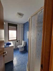 a bathroom with a toilet and a sink and a shower at Apartamento ideal Florida in Vitoria-Gasteiz +15 photos