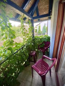 Κήπος έξω από το Domus apartman
