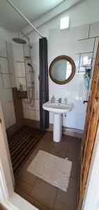 La salle de bains est pourvue d'un lavabo et d'un miroir. dans l'établissement Casa Popa, à Văliug