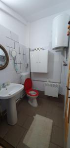 a bathroom with a red toilet and a sink at Casa Popa in Văliug