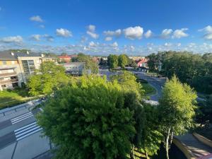 Apartament Regina في أوستكا: اطلاله على شارع فيه اشجار ومباني