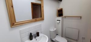 La salle de bains est pourvue de toilettes, d'un lavabo et d'un miroir. dans l'établissement The Snug - close to The Eden Project and beaches, à Par