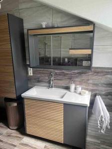 a bathroom with a sink and a mirror at Ferienwohnung Falke in Meckenbeuren +14 photos