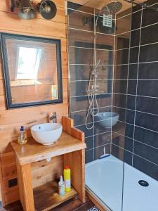 a bathroom with a sink and a shower at Casa Ysermonde- Barkas 8 in Nieuwpoort