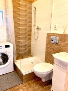 a bathroom with a toilet and a washing machine at Ośrodek u Antosia na Mazurach in Narty