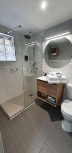une salle de bain avec une douche, des toilettes et un lavabo dans l'établissement Acollidor estudi amb encant nòrdic i amb parquing, al costat de Grandvalira, à Canillo