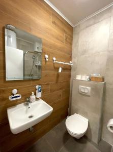 een badkamer met een wastafel, een toilet en een spiegel bij APARTMAN MIK NOVI SAD in Novi Sad