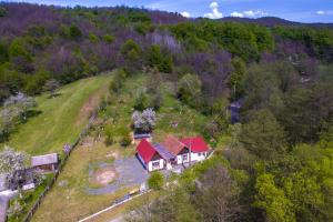 Photo de la galerie de l'établissement Pensiunea Anda - Savarsin, à Savarsin