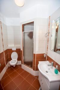 a bathroom with a toilet and a shower and a sink at Ferienhaus Elena, Karlobag in Karlobag +51 photos