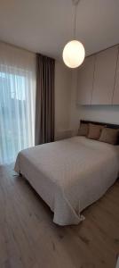 a bedroom with a large bed and a large window at Apartamentai AQUA in Palanga