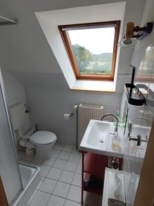 a bathroom with a toilet and a sink and a window at Five Oaks - Grüne Wohnung in Hohenkirchen