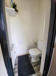 Kúpeľňa v ubytovaní Apartmán u kolejí II