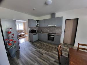 Kuchyňa alebo kuchynka v ubytovaní Apartmán u kolejí II