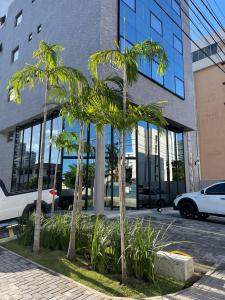 um grupo de palmeiras em frente a um edifício em Hotel do Mar Tambaú em João Pessoa