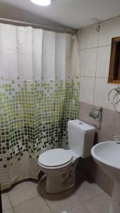 a bathroom with a toilet and a sink at Cabaña del Antiguo Poblador in Ushuaia
