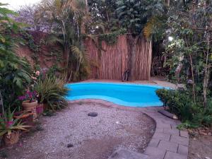 una piscina in un giardino recintato di Posada Bugambilias a Tepoztlán