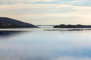 Gallery image of Braemore Chalet in Tarbert