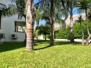 Zahrada ubytování "casa le Palme"