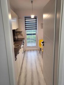 Η κουζίνα ή μικρή κουζίνα στο Dacrilo Apartments Cluj-Napoca 12 +10 φωτογραφίες