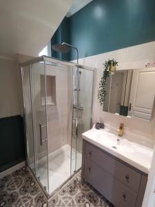 bagno con doccia, lavandino e specchio di Appartement, 3 pièces, Villa Monte Europa a Nizza