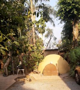 einen Hinterhof mit einem gemauerten Kamin und Bäumen in der Unterkunft Posada Bugambilias in Tepoztlán