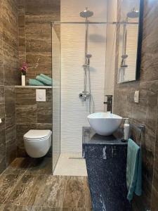 a bathroom with a sink and a toilet on a counter at Villa Scandinavia in Mostar