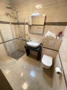 a bathroom with a shower and a toilet and a sink at Villa Scandinavia in Mostar