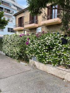 Casa Drema - Villa al mare con terrazza外面的花园