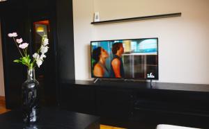 a living room with a tv and a vase with flowers at Apartamentos Gallaecia in Val do Dubra