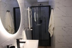 a bathroom with a sink and a mirror at NAD LISIM JAREM in Jastrzębia Góra