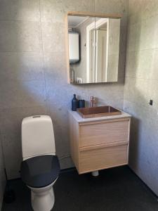 a bathroom with a toilet and a sink and a mirror at Hallonet in Alingsås