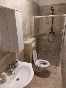 Koupelna v ubytování Apartman Bartol