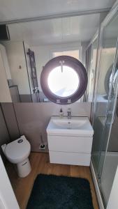 a bathroom with a sink and a toilet and a mirror at Hausboot Hilja - neuer Ankerplatz! in Schleswig