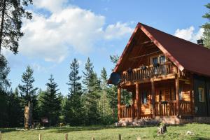 una cabaña de troncos en un campo con árboles en Holiday home Aster, en Žabljak