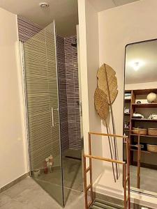 a bathroom with a shower with a glass door at Villa Passion Cannelle de standing avec sa piscine vue mer in Les Trois-Îlets