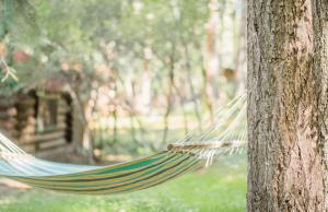 a hammock tied to a tree in a park at The Don Hoel Resort & Venue in Sedona