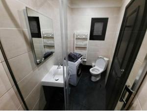 a bathroom with a toilet and a sink and a mirror at Morny Belvédère in Deauville