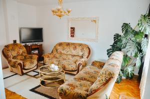 a living room with two couches and a tv at Vila Petunija in Sjenica